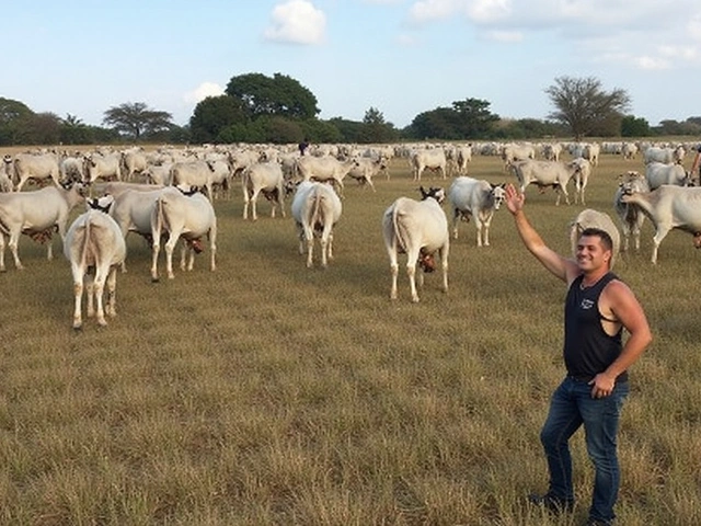 Fazenda Talismã de Leonardo em Polêmica de Trabalho Escravo: Impactos e Desdobramentos